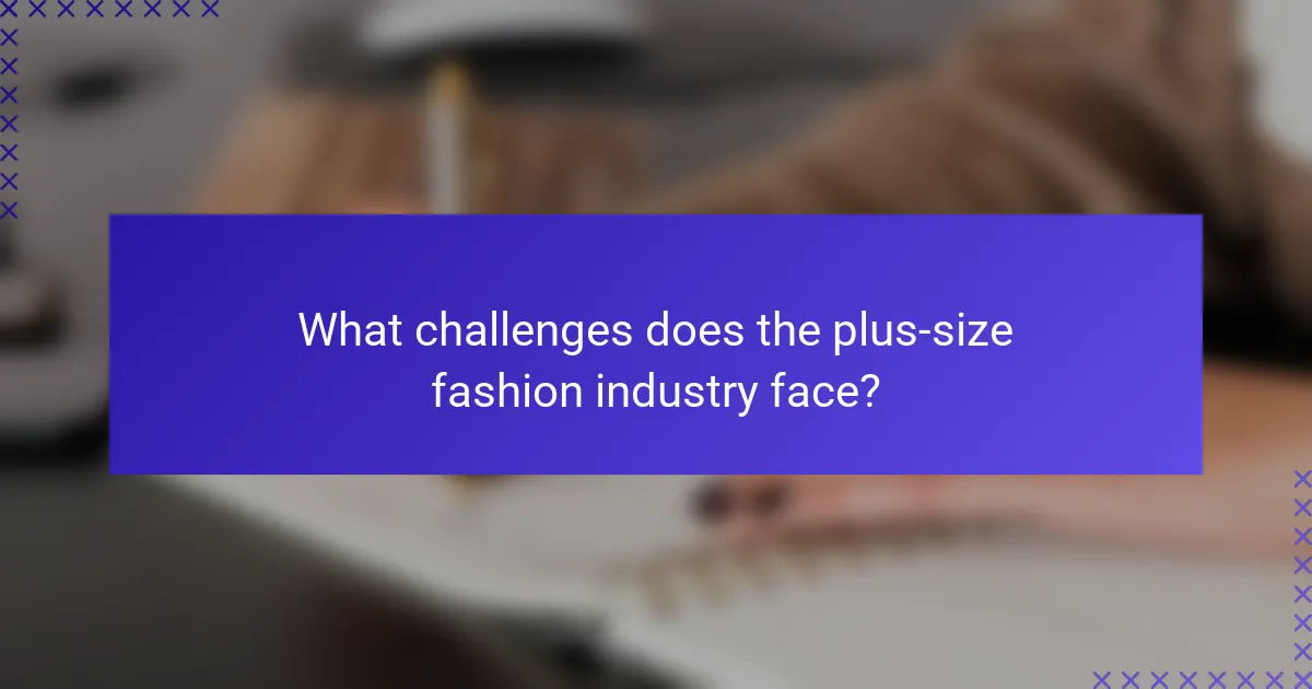 What challenges does the plus-size fashion industry face?